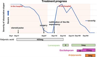 Case Report: GABAergic and Serotoninergic Agents for the Treatment and Prevention of Prolonged Dissociative Stupor